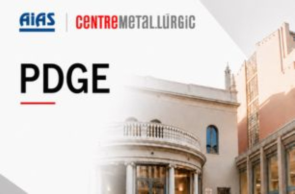 Img WEBINAR | Sesión informativa PDGE - Programa de Desarrollo y Gestión Empresarial 20